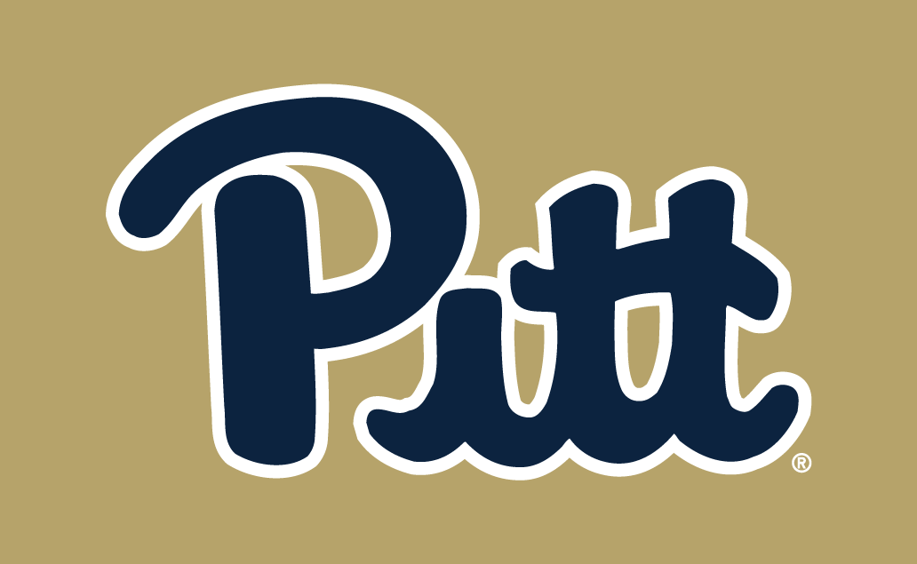 Pittsburgh Panthers 2016-2018 Alternate Logo v3 iron on transfers for T-shirts
